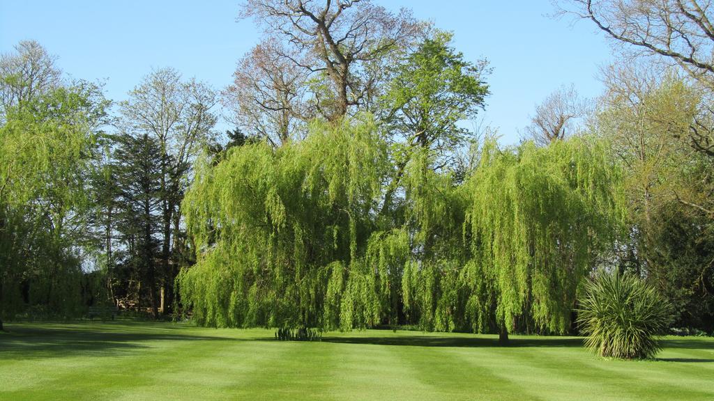Wartling Place Country House Exterior photo