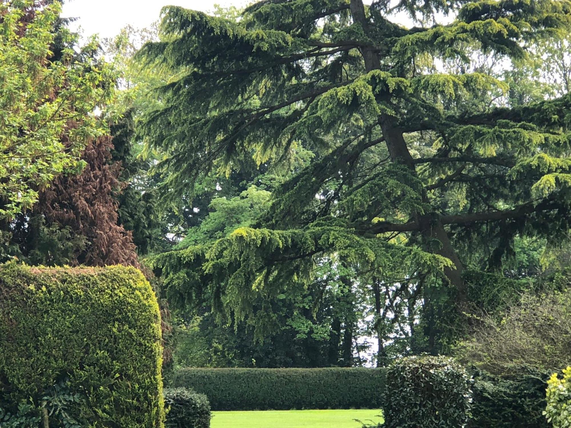 Wartling Place Country House Exterior photo